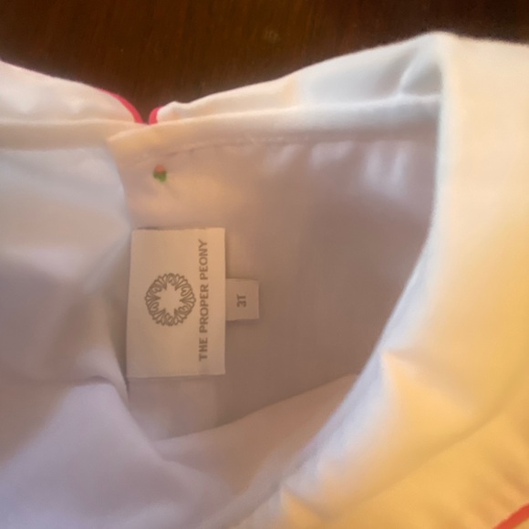 The Proper Peony 3t dress, EUC - Picture 3 of 4